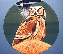 [owl]