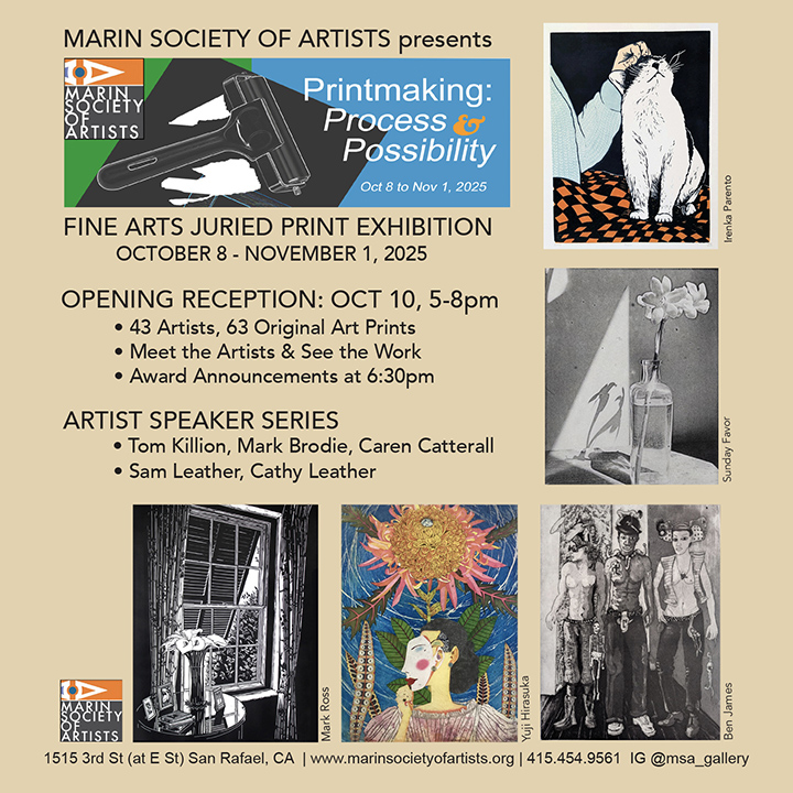 Marin Society of Art